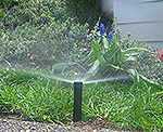 180 degree walkway path sprinkler