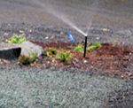 Landscape Irrigation